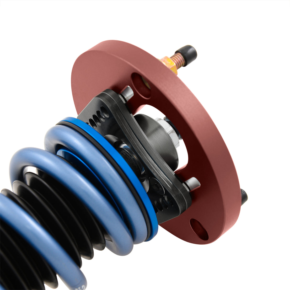 Lexus SC430 (UZZ40) 2003-2009 - Muller 1-Way Series Coilovers